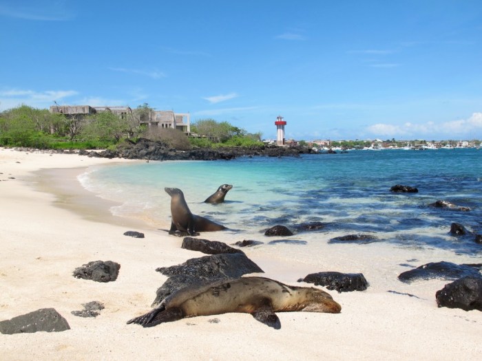 Solo travel galapagos