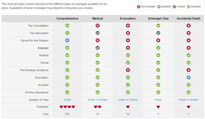 Top travel insurance plans